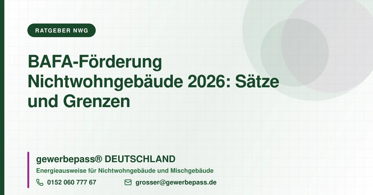 BAFA-Förderung, gewerbepass DEUTSCHLAND, Tel. 0152 060 777 67